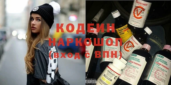 индика Нея